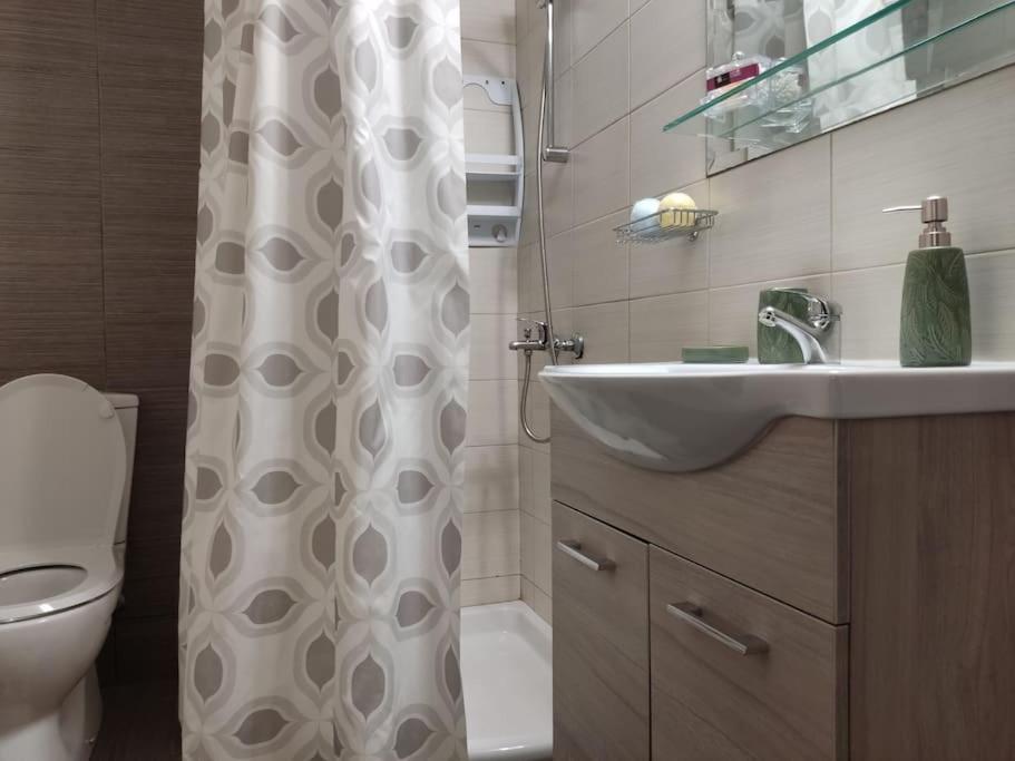 Modern Apartment Near Airport, Port & Beach Nea Alikarnassos Buitenkant foto
